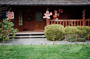 Imparare a fare decorazioni esterne di Natale che sono commestibili per gli uccelli