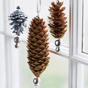 Learn to use pine cones to create Christmas ornaments
