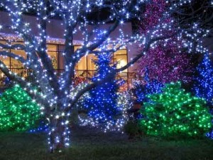 Obtenga más información sobre las baterías de las luces LED de Navidad