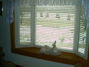 Blinds that fit bay windows